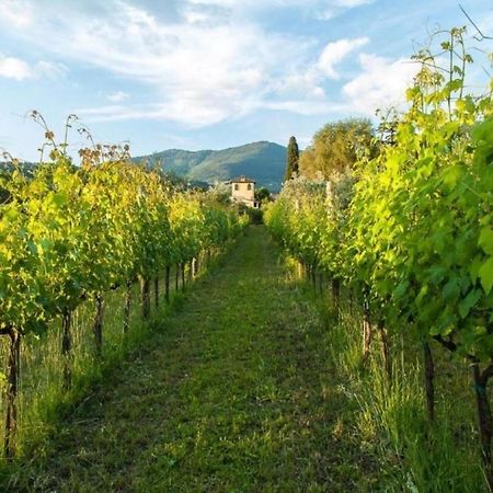 Villa Il Paradisino Сесто-Фьорентино Экстерьер фото