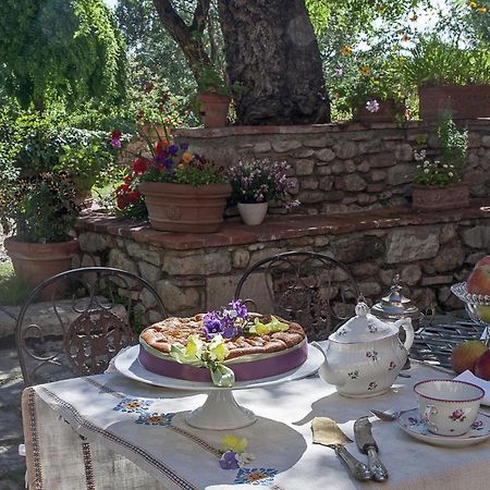Villa Il Paradisino Сесто-Фьорентино Экстерьер фото