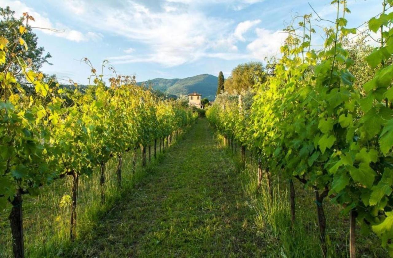 Villa Il Paradisino Сесто-Фьорентино Экстерьер фото